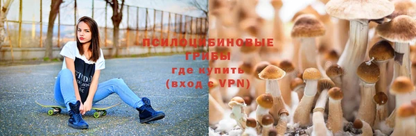 таблы Алексеевка